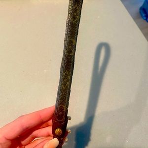 Louis Vuitton Baxter MM dog leash